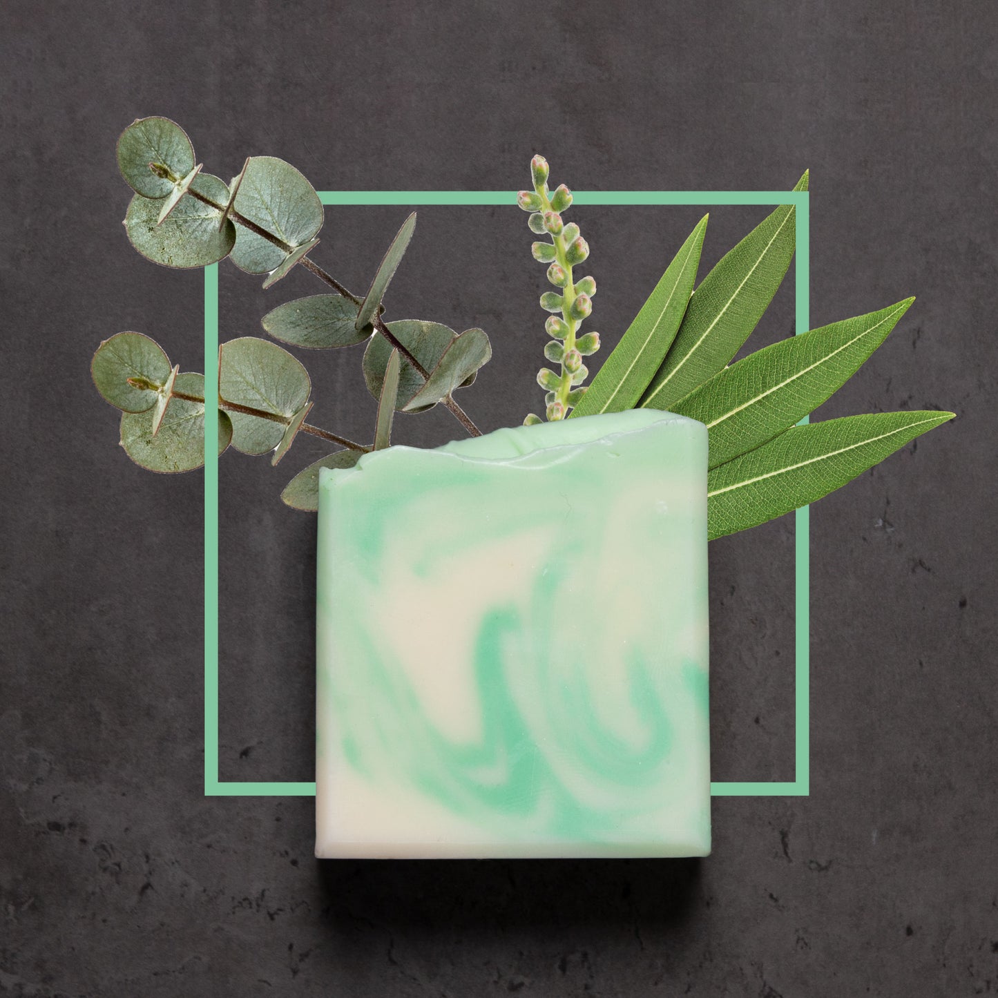 The Bear Bar (Eucalyptus and Tea Tree)